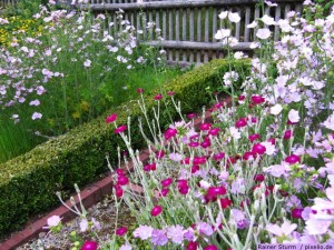 Bauerngarten Weg Bauerngarten Weg