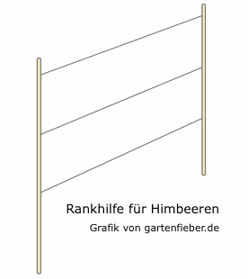 Himbeerenrankhilfe