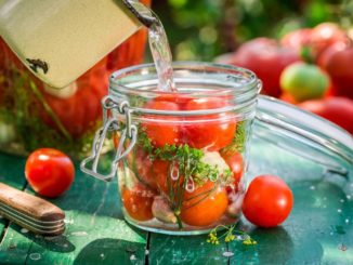Tomaten einkochen und einlegen Tomaten einkochen
